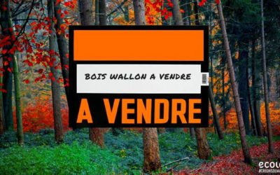 cdH et PS veulent-ils privatiser et dilapider nos forêts wallonnes ?