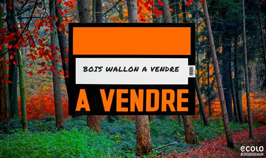 cdH et PS veulent-ils privatiser et dilapider nos forêts wallonnes ?