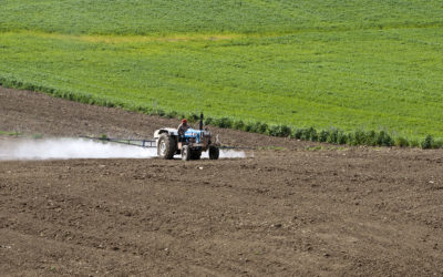 Dossier « pesticides et cancers »: premiers pas très lents et prudents