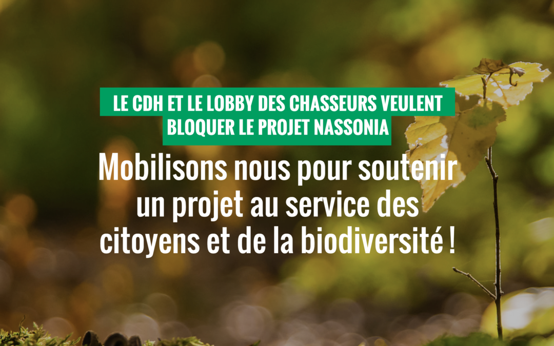 Opacité, tergiversation, enfumage… Le cdh tue-t-il le projet Nassonia ?