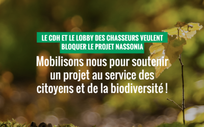 Opacité, tergiversation, enfumage… Le cdh tue-t-il le projet Nassonia ?