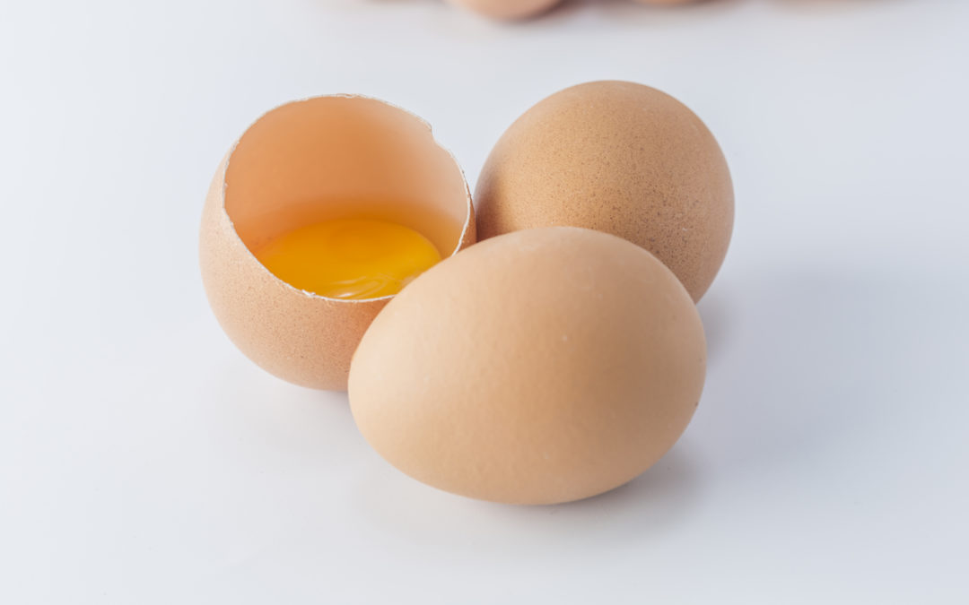 Scandale des œufs contaminés au Fipronil : Ecolo appelle le Gouvernement wallon à agir