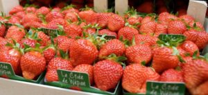 Photo de fraises rangées - Criée de Wépion 
