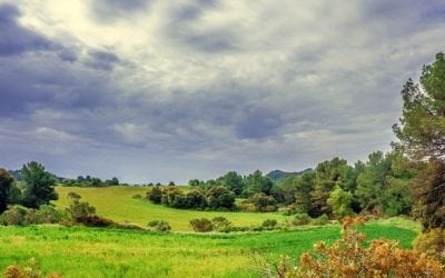 ECOLO veut d’une nouvelle PAC plus durable et qui soutient la transition