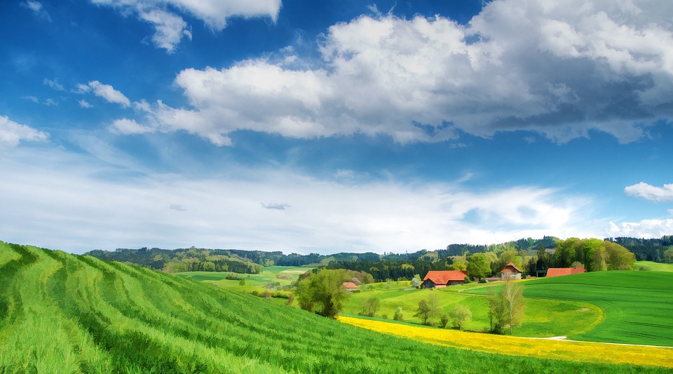 Le Parlement rate l’occasion d’avancer plus vite et mieux vers la transition agroécologique en Wallonie